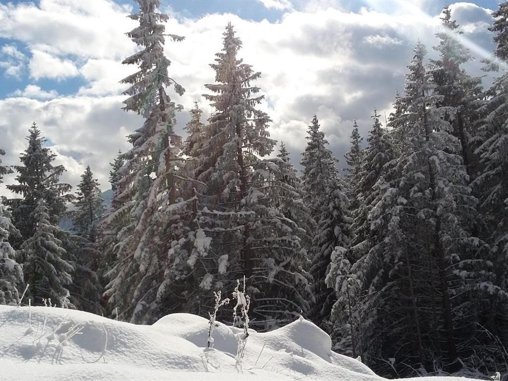 Landhotel Und Gasthof Kirchberger Wildsteig Luaran gambar