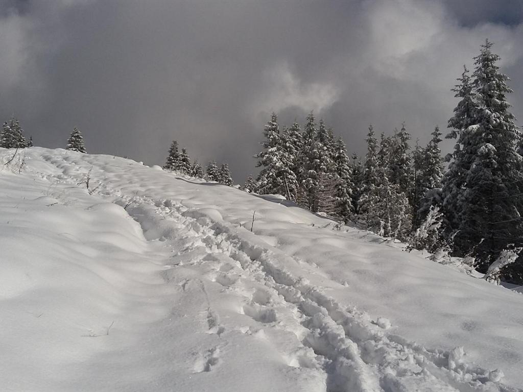 Landhotel Und Gasthof Kirchberger Wildsteig Luaran gambar
